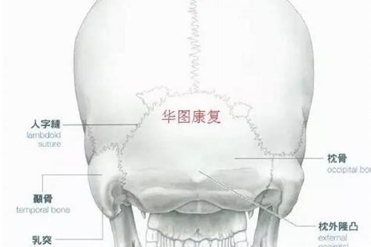 火命家里的风水怎么调