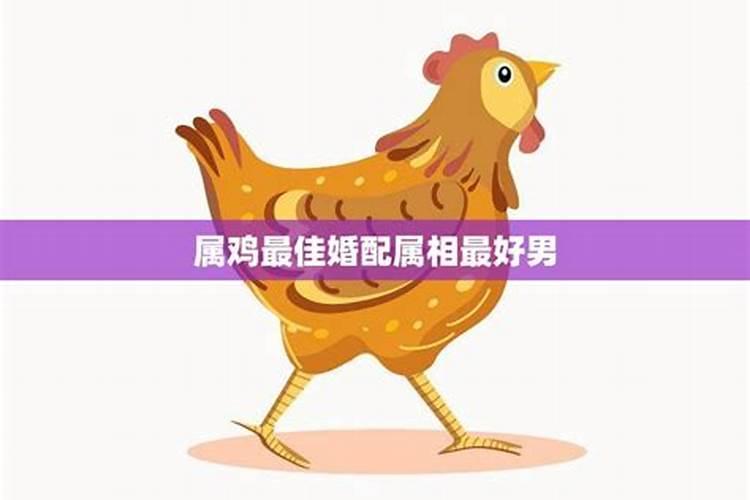 男属鸡婚配什么属相合适吗