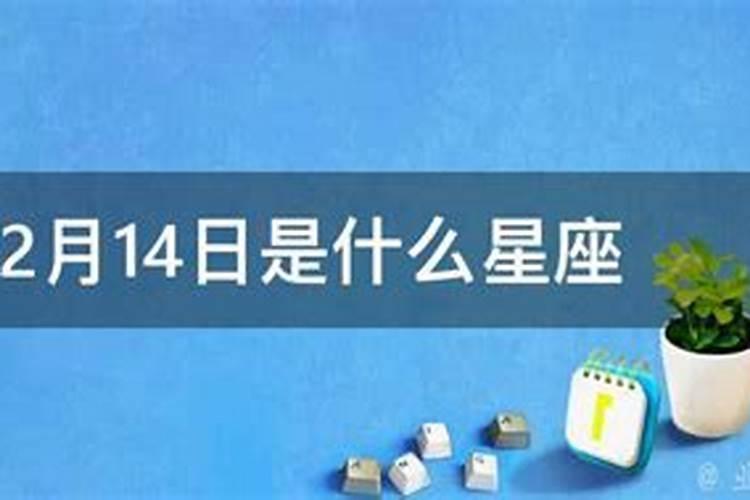 农历12月14日是阳历多少是什么星座