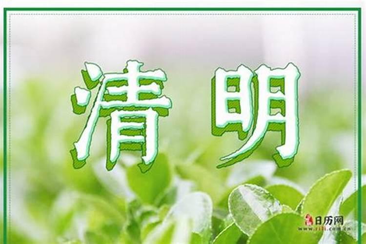 属兔的在今年的运程怎么样