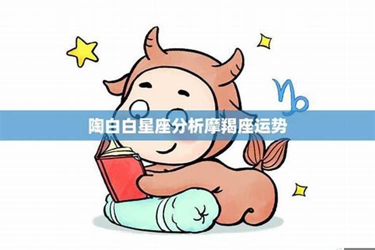 陶白白评价摩羯