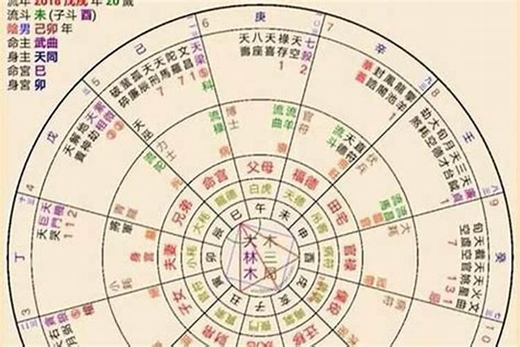 结婚后说八字不合