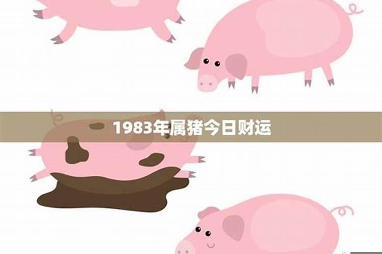 1983年属猪的今日运势及财运