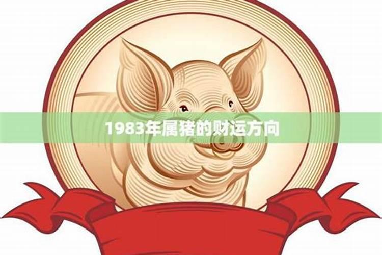 属猪1983年今年财运