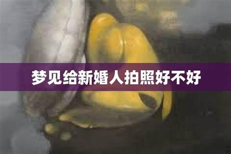 梦见给新娘照相