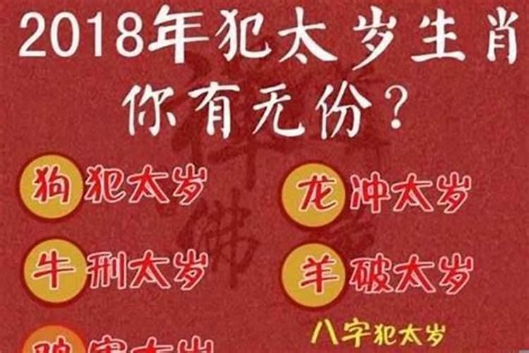 12生肖那个生肖运势好