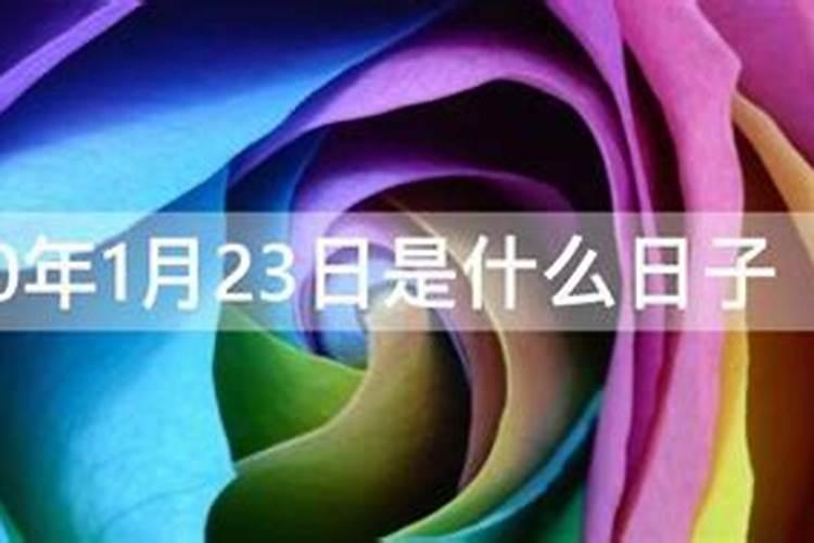 2020年1月23号属什么生肖