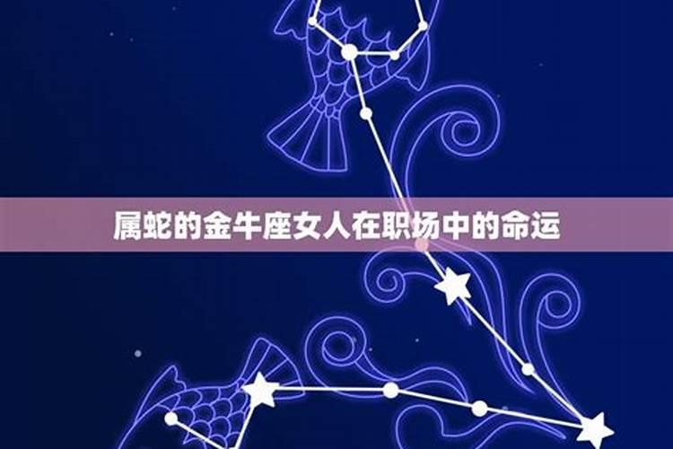 11月16日什么星座女性