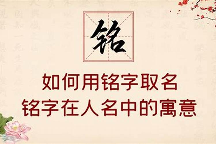 梽字五行属什么,取名的寓意是什么