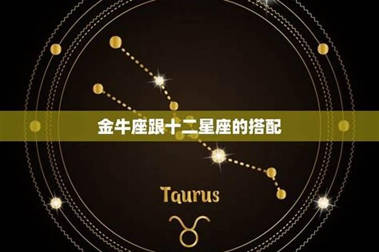 金牛座婚配啥星座好