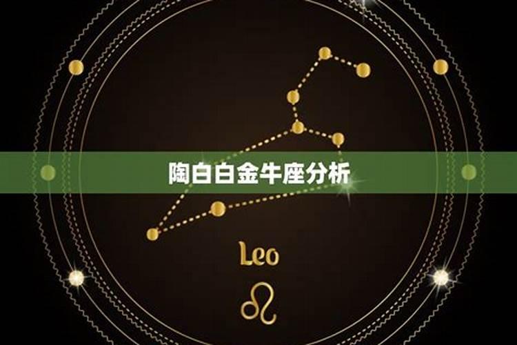 陶白白星座分析金牛座运势