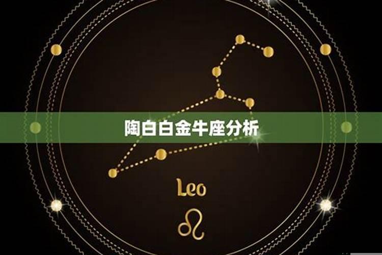 陶白白星座分析金牛座运势