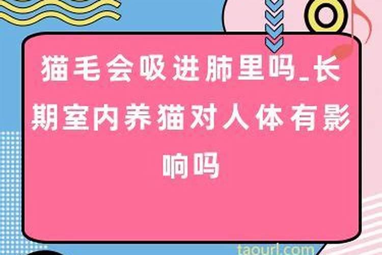 梦见老鼠咬了我是什么意思呀