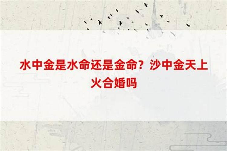 梦见男人怀孕了是怎么回事