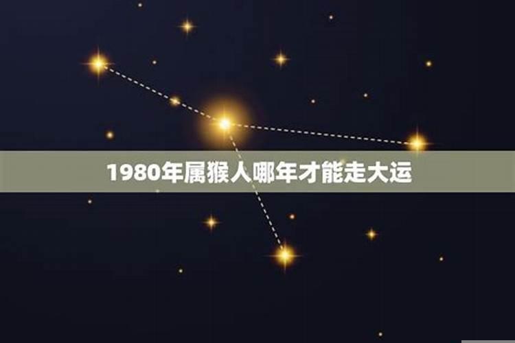 1980年属猴人2023年每月运势运程第一星座网