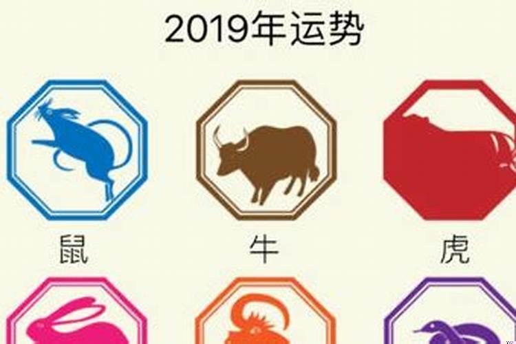 2019运势12生肖运势