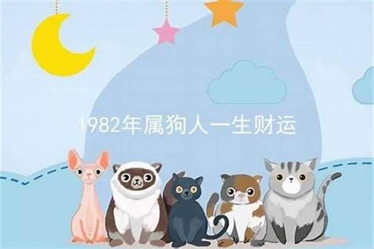 1982年属狗的人一生运程如何