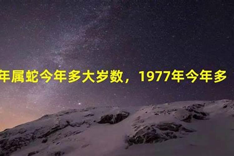 1977年属蛇的是什么命今年几岁