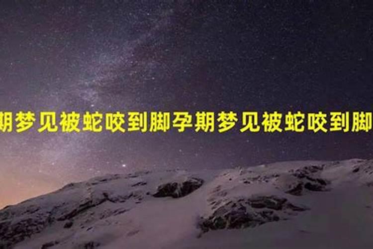 梦见被蛇咬到脚周公解梦