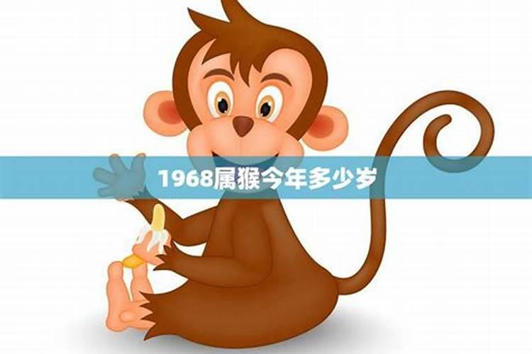 属猴的多大岁数1980年