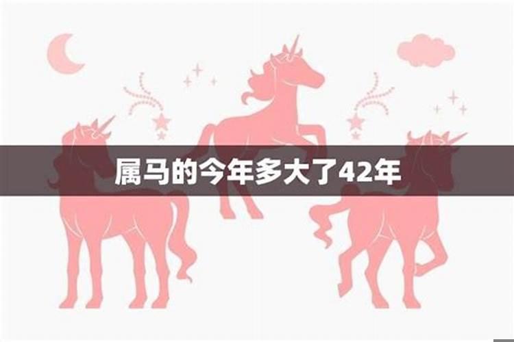 属马的今年多大年龄2023年