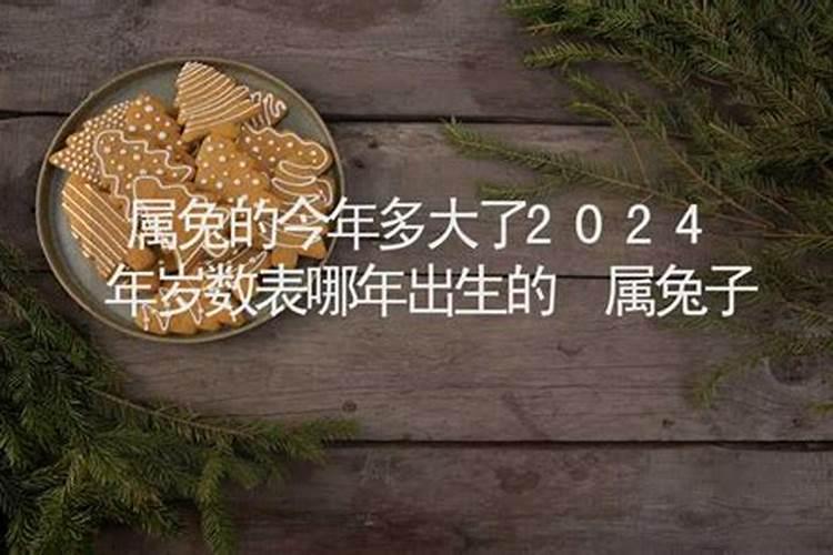 属兔的今年应该是多大年龄