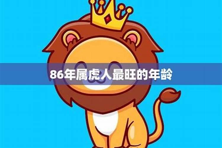 87属牛人最旺的年龄