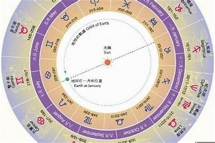 阳历是11月22日是什么星座呢