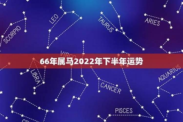 66年属马男在2022年运势怎样