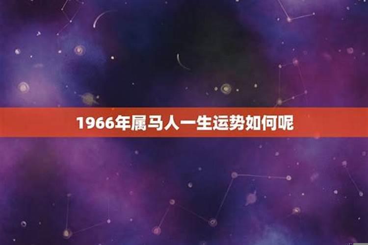 1966年属马3月生命运如何