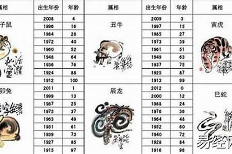 22岁属什么生肖配对男孩子最好