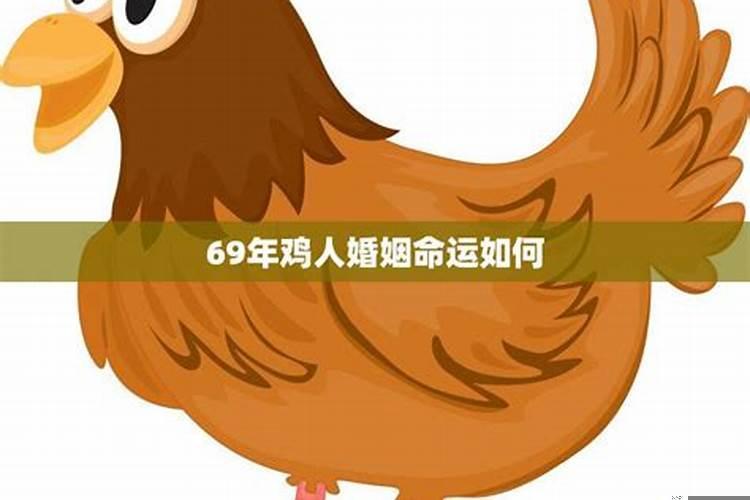 69年的鸡2021年的命运