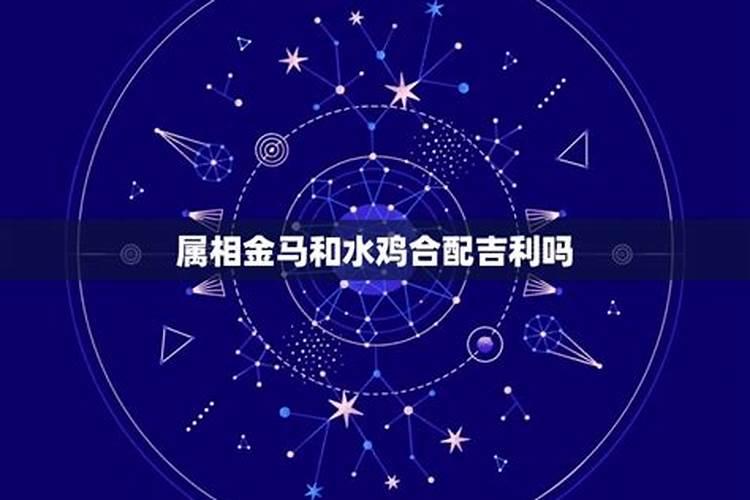 金羊和金马姻缘相配吗