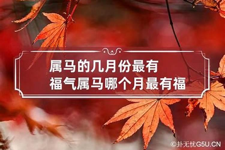 属马哪个月份最好