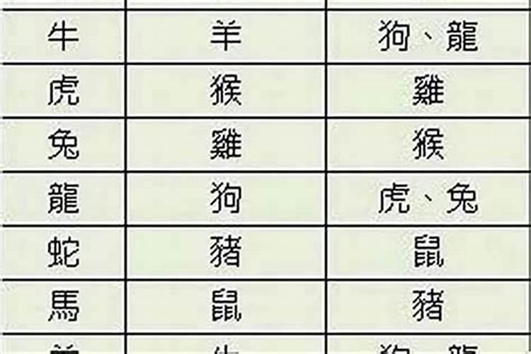 女属猪男属鼠八字合吗