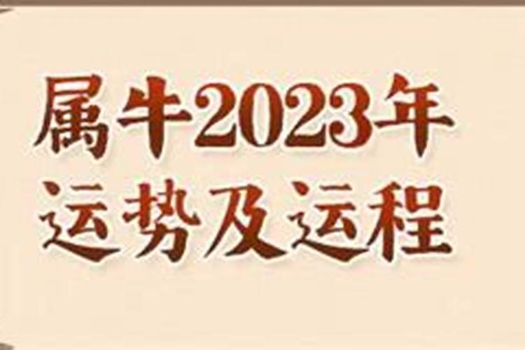 1973属牛2022最危险的几个月