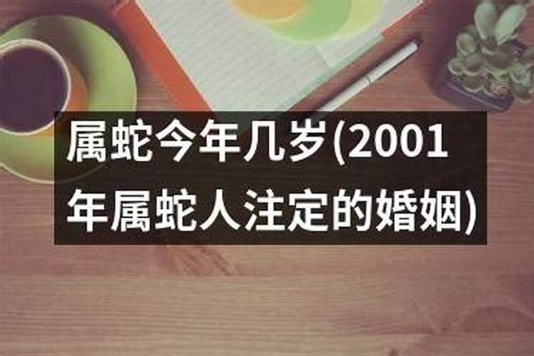 2001年属蛇的人今年几岁