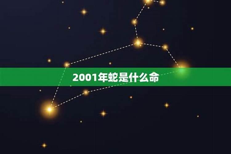 2001年属蛇的今年是什么命