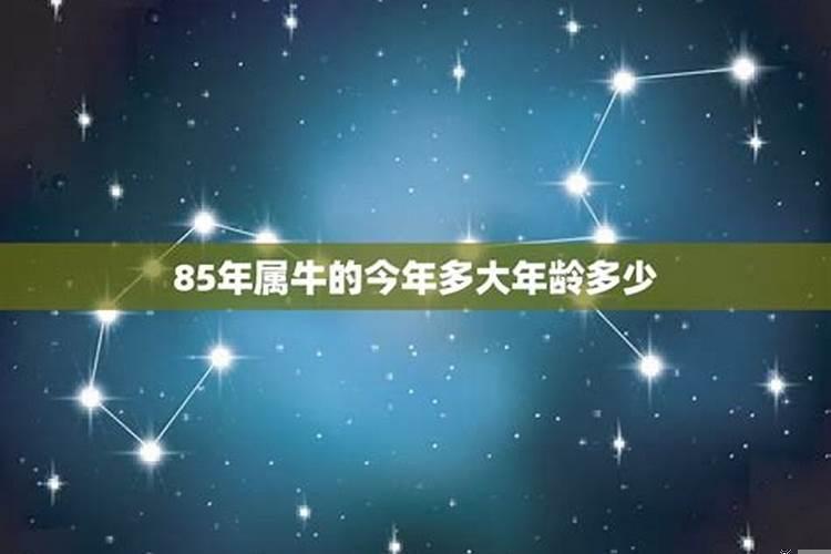 属牛的今年几岁生日