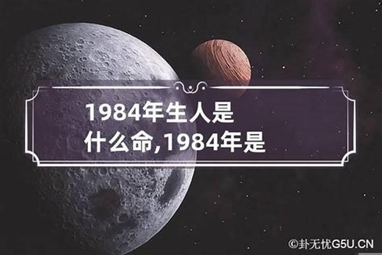 1984属啥生肖