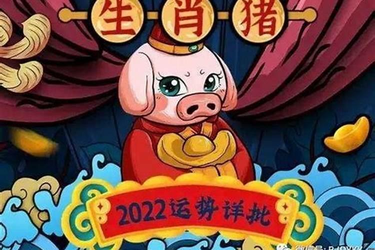 2022年生肖属猪运势如何