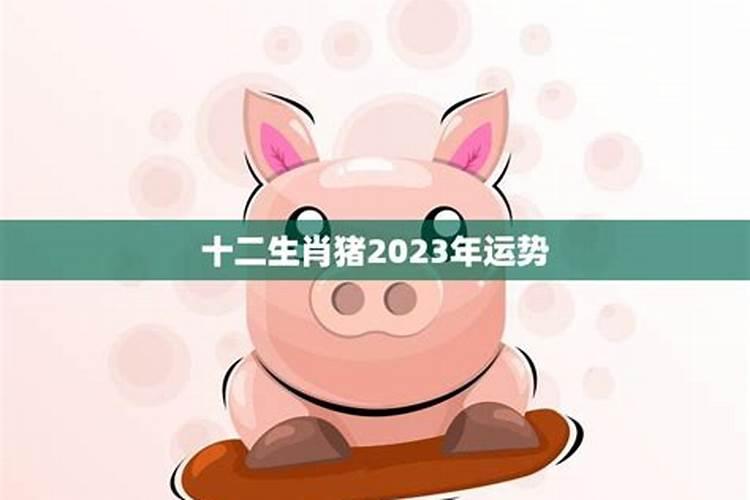 2023年属猪的运势和财运