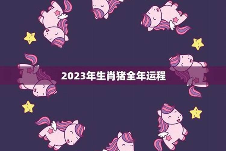 2023年属猪的运势和财运