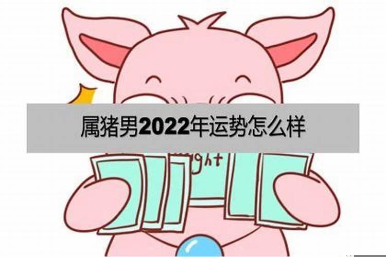 71年属猪2022年运势及运程每月运程男