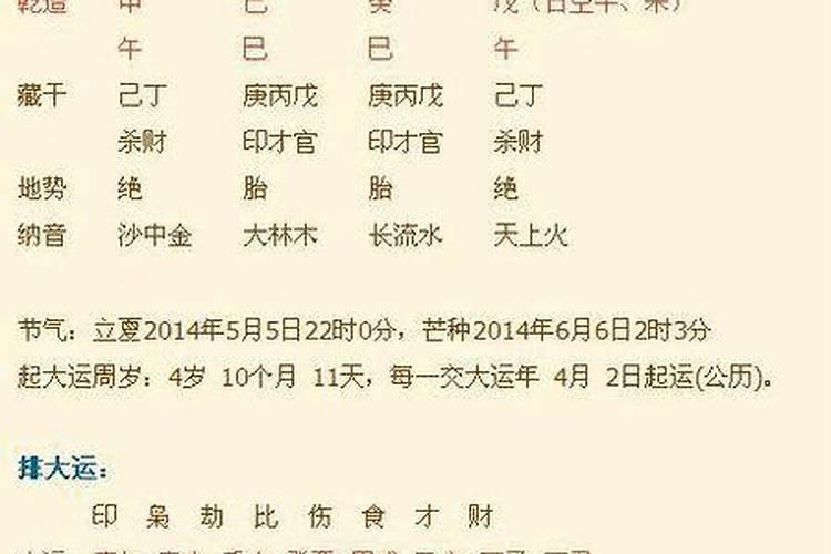 丽属于五行属什么意思