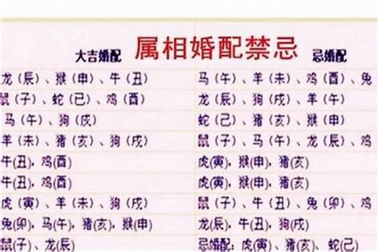 婚配八个字全合好不好