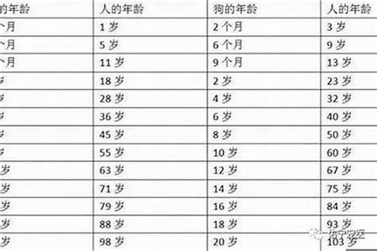 吴京属什么多少岁