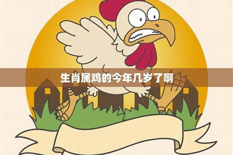 生肖属鸡今年多大岁数