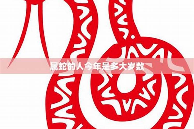 属蛇的2021年是多大年龄