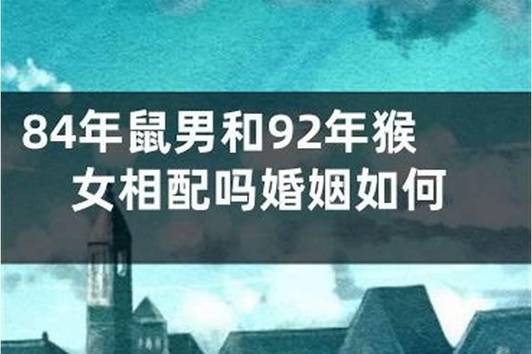 77年蛇女和84年鼠男的婚姻